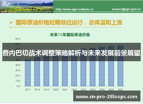 费内巴切战术调整策略解析与未来发展前景展望