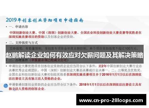 赵鹏解读企业如何有效应对欠薪问题及其解决策略